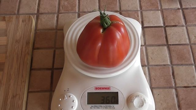 Выращивание ТОМАТОВ крупноплодные сорта. Я сажаю смотреть онлайн