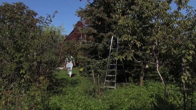 Вселенцы (часть 1). ЛЖЕТСУГА смотреть онлайн