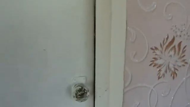 Дача на берегу реки Волга смотреть онлайн