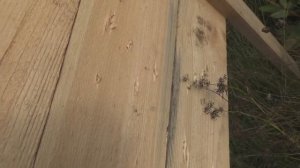 ИЖ 58 16 калибр против ИЖ 58 12 калибр. Пострелушки Сравнение