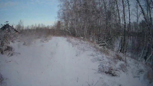 VLOG,гулял по лесу в зимнее время суток смотреть онлайн