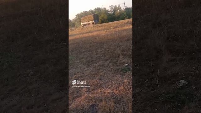 8 августа 2024 г..mp4 смотреть онлайн