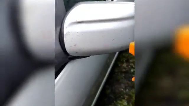 Очиститель "Антибитум и антимошка" в действии смотреть онлайн