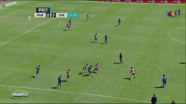 Néstor Vidrio смотреть онлайн