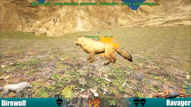 Лютоволк против Разрушителя / Direwolf vs Ravager смотреть онлайн