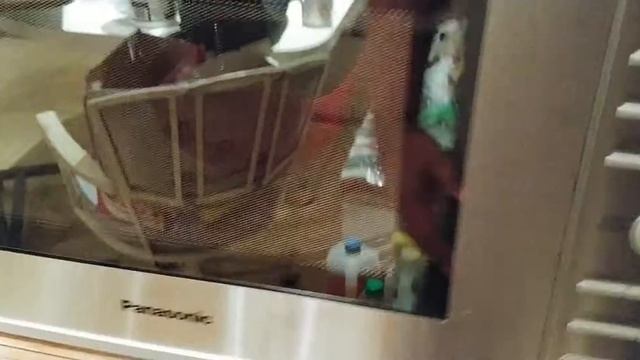 Panasonic NN-SD681S mystery sound смотреть онлайн