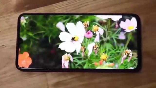 Стоит ли забывать о хорошем старом, покупая не известное новое? смотреть онлайн