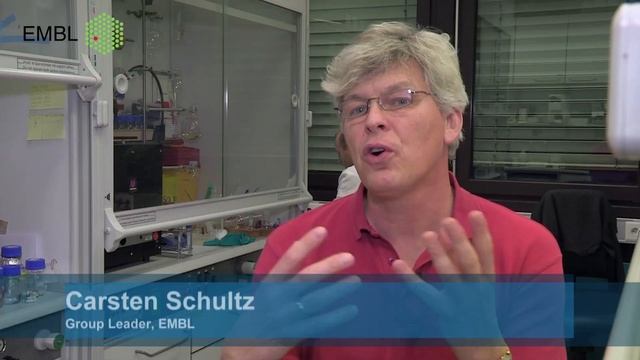 The European Molecular Biology Laboratory (EMBL) - Basic Research at it's Best смотреть онлайн