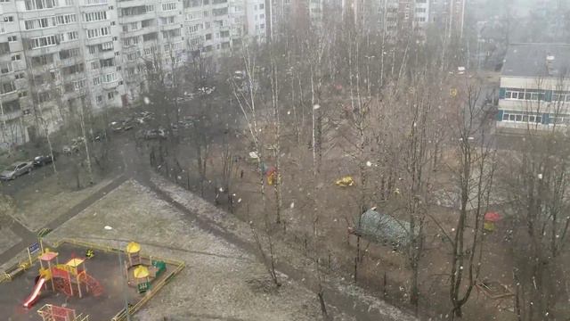 Питер...29 апреля 2022 г. "Снег кружится...летает... и тает..." смотреть онлайн