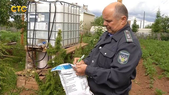 Болезни картошки смотреть онлайн