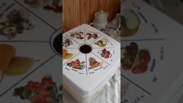 Электро сушилка бытовая"Ротор Дива Люкс" смотреть онлайн