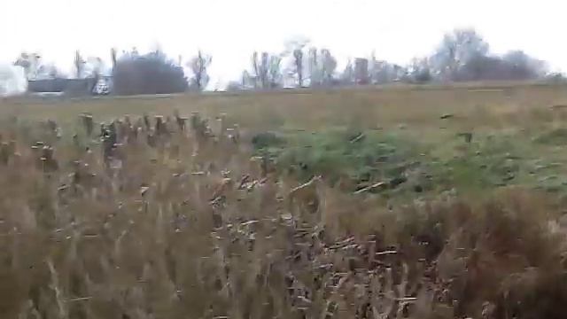 Снег пошол и мы Копаем)!!! смотреть онлайн