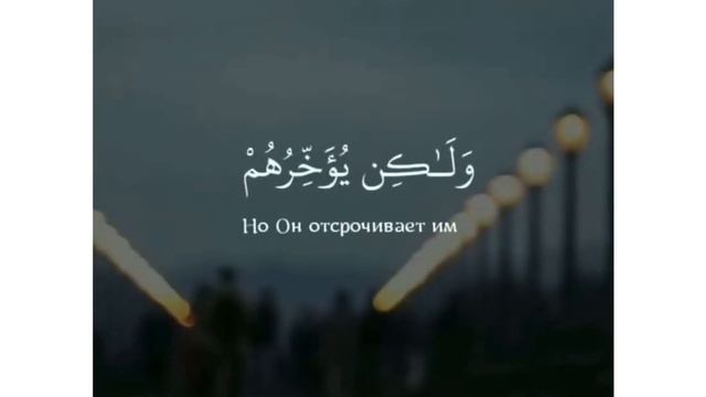 Сура:16 "Ан-Нахль" (Пчёлы) Аят: 61 Чтец: Абдурахман масад смотреть онлайн