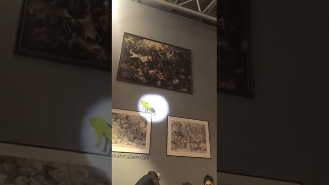 Art Projection In Brussels Airport смотреть онлайн