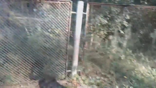 Сталк №4 Заброшенный лагерь (Электрон)