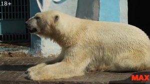 5 достопримечательностей Новосибирска | Куда сходить в Новосибирске