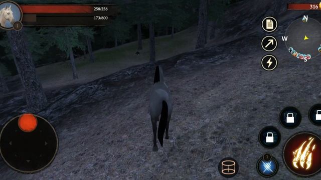 Best Animal Games - The Horse Wild Life Simulator Android Gameplay смотреть онлайн