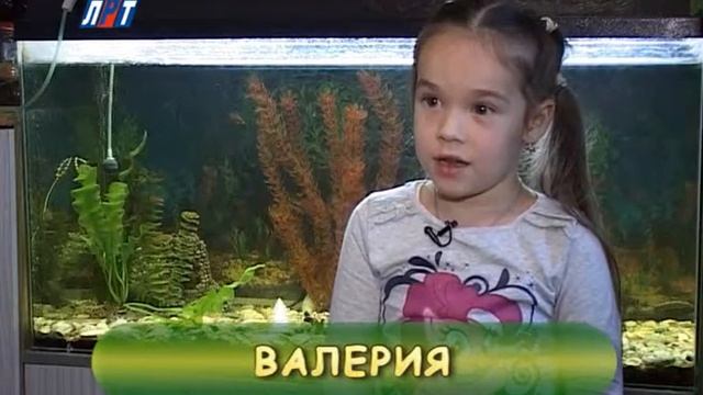 Детский сад №3 смотреть онлайн