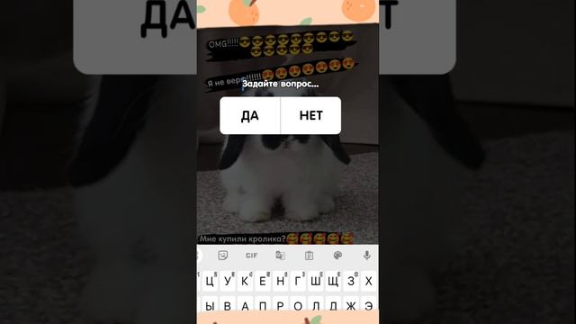 ТА САМАЯ КОТОРОЙ КУПИЛИ КРОЛИКА😎😎😎😎😎😎😎😎😎😎😎😎😎😎😎