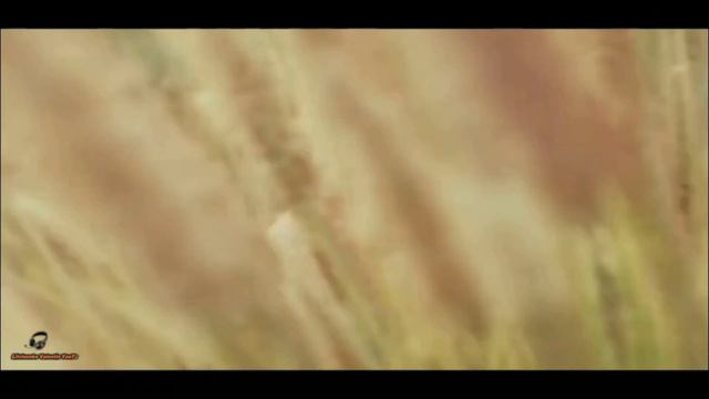 Она одна (Dj Ikonnikov E x c Version) Игорь Ашуров смотреть онлайн