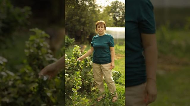 22 июля 2021 г. смотреть онлайн