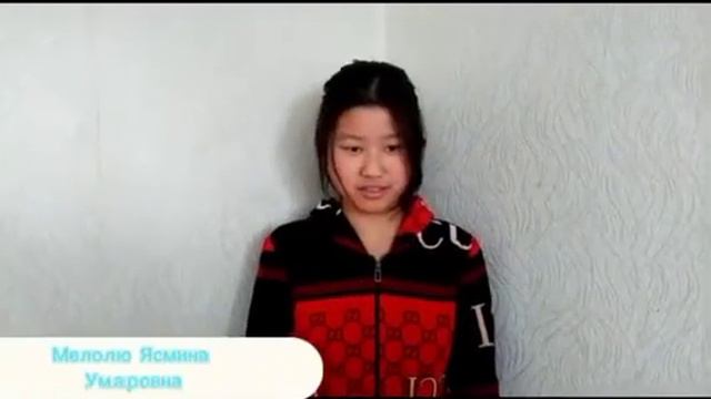 195. Отряд ЮИД "Активисты", МБОУ СОШ с. Привольное Ровенского муниципального района смотреть онлайн