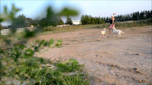 КЕВИН - 5 мес ждет родителей смотреть онлайн