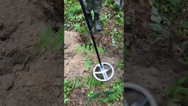 #metaldetector #металлоискатель #находки #коп #поискмонет #minelab #coin #шурф #war #treasure смотреть онлайн