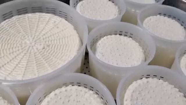 Formaggio Giovane / Молодой домашний Сыр / Сырные Бачонки / Как сделать Сыр в домашних условиях смотреть онлайн