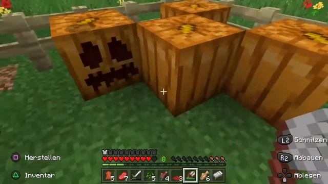 (Geil) in MINECRAFT tiere craften WAS DAS GEHT?! PS 4 mod java смотреть онлайн