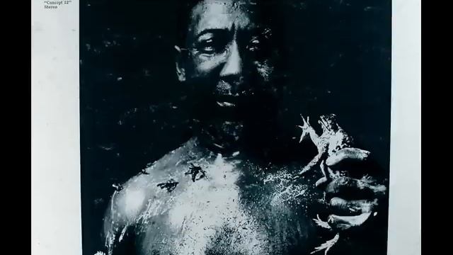 Muddy Waters - I Am The Blues смотреть онлайн