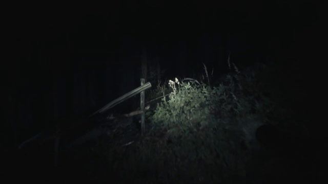 ПРОКЛЯТЫЙ ЛЕС ⋙ Прохождение Blair Witch ⋙ Психологический Хоррор смотреть онлайн