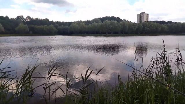 рыбалка на поплавок в черте города