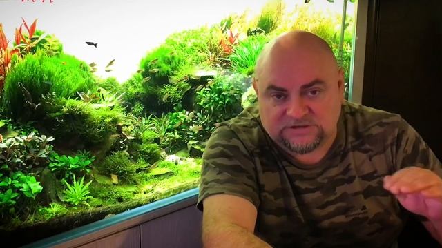 Акваскейп. Тримминг растений. смотреть онлайн