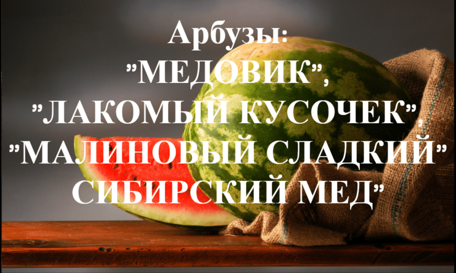 Как сажать арбузы. Сорта "Медовик","Лакомый кусочек","Малиновый сладкий","Сибирский мед". смотреть онлайн
