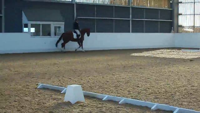 Anna Davey by Dr Doolittle SOLD смотреть онлайн