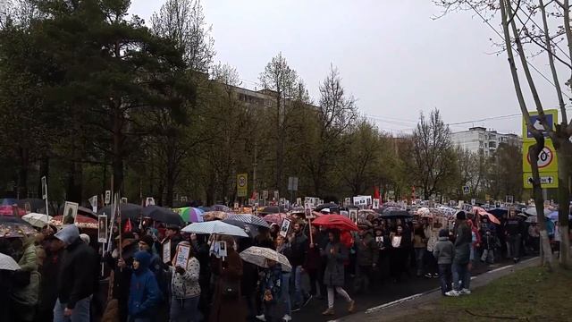 БЕССМЕРТНЫЙ ПОЛК ПУШКИНО 2017 смотреть онлайн