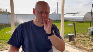 ВЯЛЕНЫЕ ПЕРЕПЕЛА / ПРОБУЕМ ВЯЛЕНЫХ ПЕРЕПЕЛОК/ ПЕРЕПЕЛКА