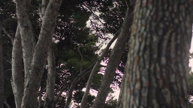 Costa Brava (Sony NEX 5N test footage) смотреть онлайн