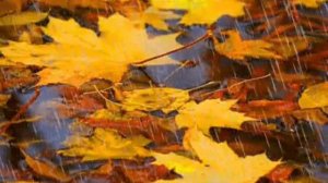 Осенние дожди