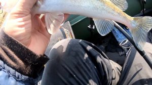 Как поймать щуку на мандулу. Ловля пассивной щуки. Мандула Profmontazh (Проф Монтаж)