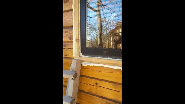 Установка пластикового окна в деревянном доме,бане в обсаду смотреть онлайн