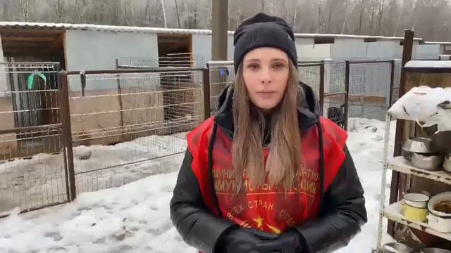 Калужские коммунисты помогли приюту бездомных животных. смотреть онлайн