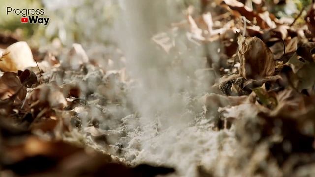 Я Обалдел! После КРАХМАЛА С КУРКУМОЙ Стебель у Томатов, Перца, Огурцов Толстенный, Крепкий, Здоровы смотреть онлайн