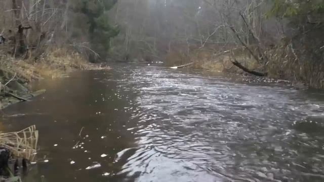 Народный праздник «Иларион – выверни оглобли» Приметы и традиции на 10 апреля смотреть онлайн