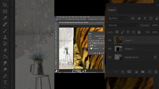 How to place image on a wall in Photoshop|Photoshop cs6|Photoshop cc |#short#shortsviral #shortfeed смотреть онлайн