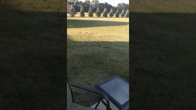 Young Teen Gets Destroyed By Dad Fingering Skills