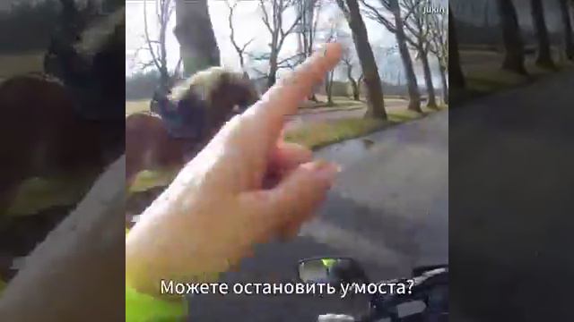 Сомый большое гонка это называется гонка