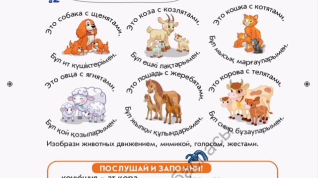 Мир животных "Дикие и домашние животные" смотреть онлайн