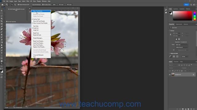 Learn How to Create Tool Presets in Adobe Photoshop: A Training Tutorial смотреть онлайн